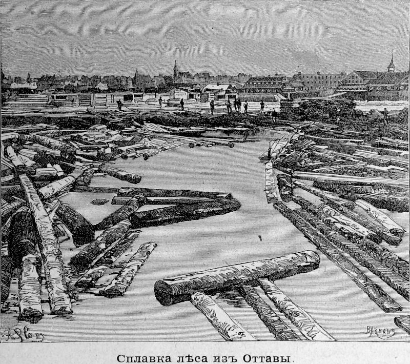 425 Сплавка леса из Оттавы